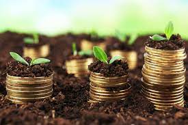 investment and shareholding