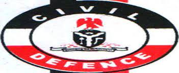 NSCDC, Private Guard Companies, PGCs