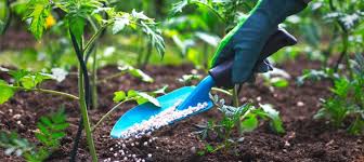 Fertilizer Registration and Sales Permits in Nigeria: A Comprehensive Guide